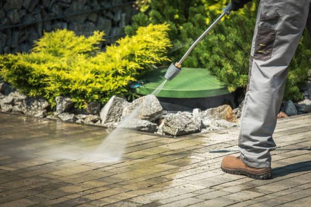 Best Solar Panel Cleaning  in Cedar Heights, MD